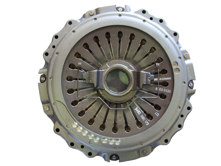 Rosette