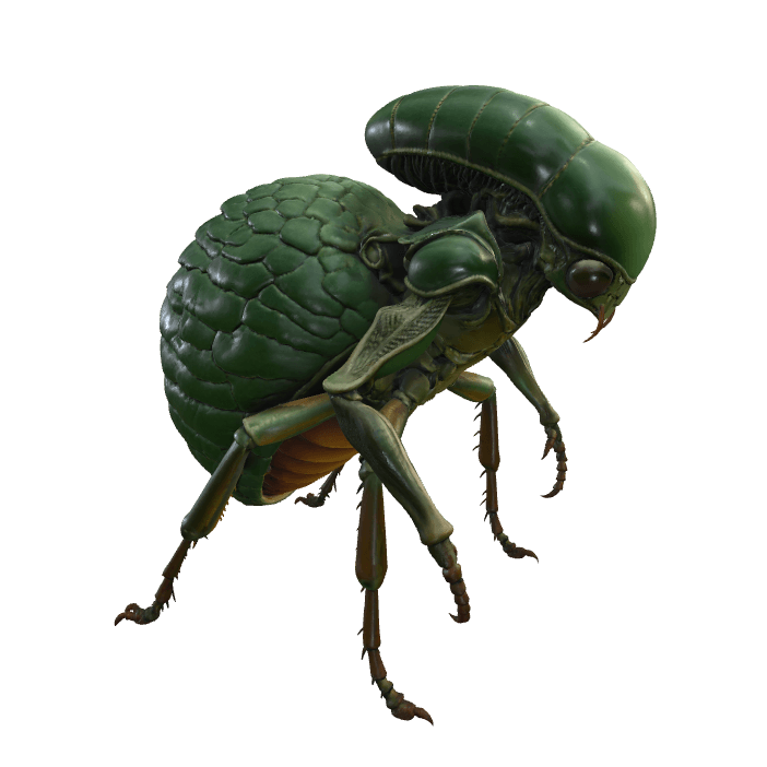 生物
