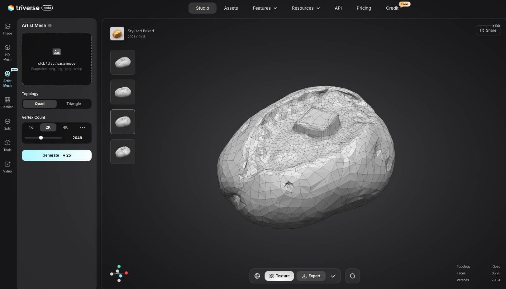 Baked potato wireframe in Triverse Artist Mesh with the 2K vertex target selected